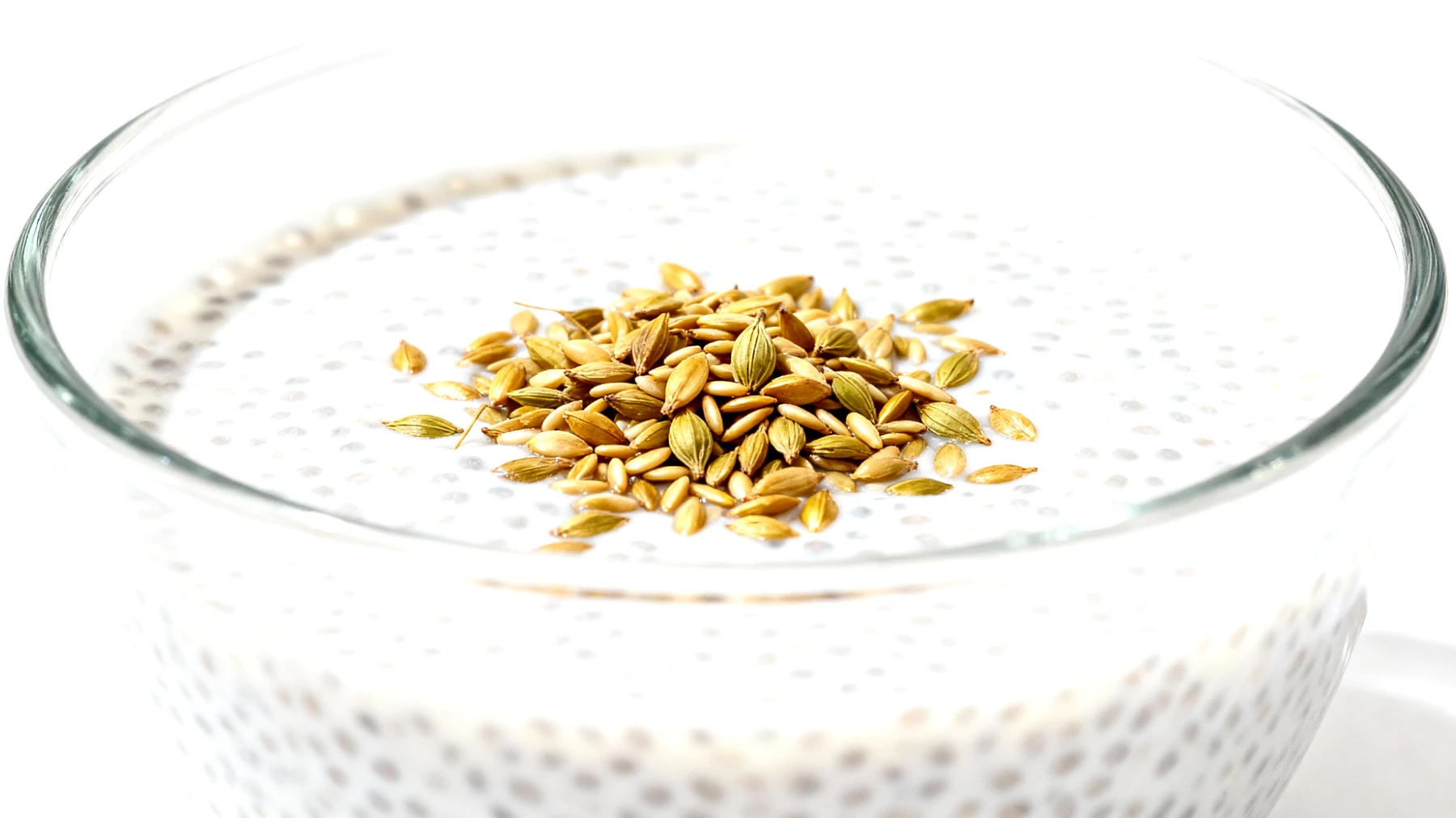 Chia-Pudding mit Kokosmilch und gerösteten Hanfsamen"
